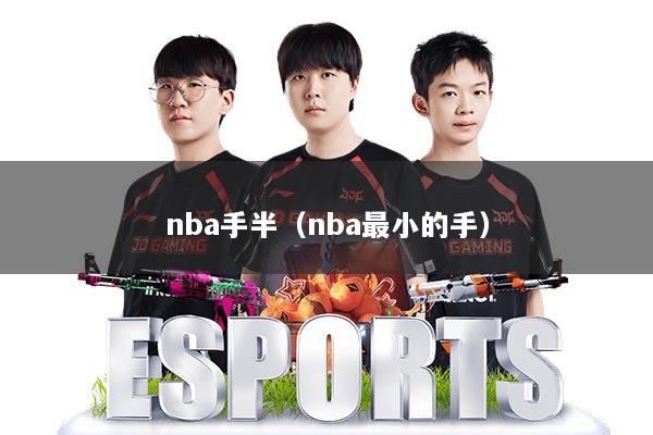 nba手半（nba最小的手）