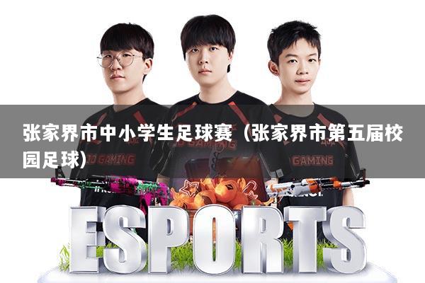 张家界市中小学生足球赛（张家界市第五届校园足球）