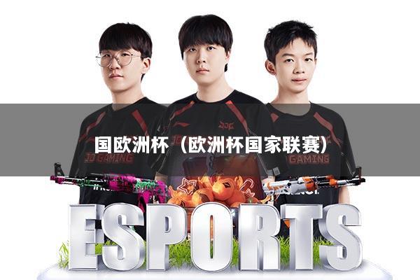 国欧洲杯（欧洲杯国家联赛）