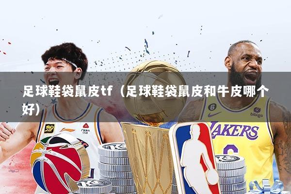 足球鞋袋鼠皮tf（足球鞋袋鼠皮和牛皮哪个好）