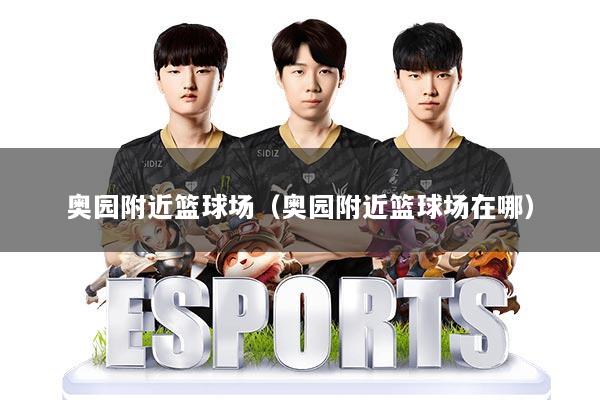 奥园附近篮球场（奥园附近篮球场在哪）