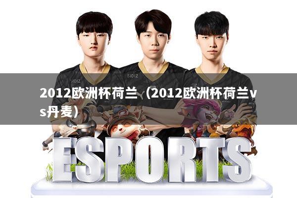 2012欧洲杯荷兰（2012欧洲杯荷兰vs丹麦）