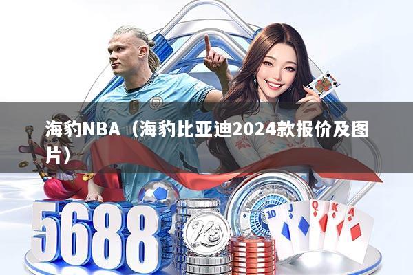 海豹NBA（海豹比亚迪2024款报价及图片）