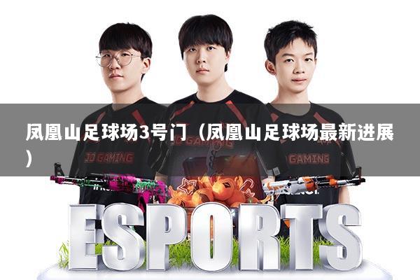 凤凰山足球场3号门（凤凰山足球场最新进展）