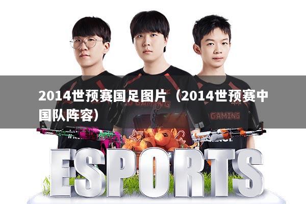 2014世预赛国足图片（2014世预赛中国队阵容）