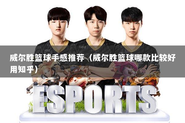 威尔胜篮球手感推荐（威尔胜篮球哪款比较好用知乎）