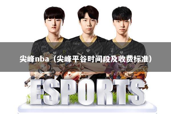 尖峰nba（尖峰平谷时间段及收费标准）
